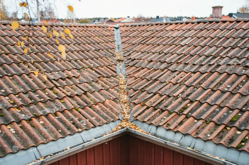 s f rl nger du takets livsl ngd enkla underh llsr d f r svenska villa gare